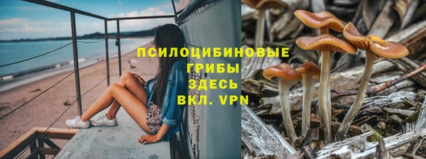 метадон Армянск